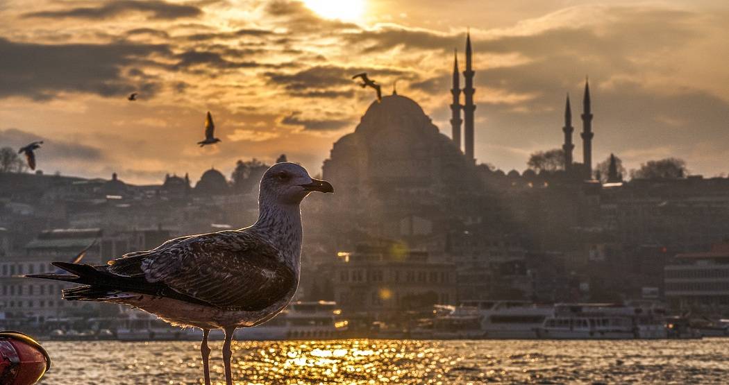 Istanbul 4 dana