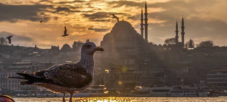 Istanbul 4 dana
