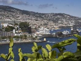 Madeira - otok vječnog proljeća - 6 dana