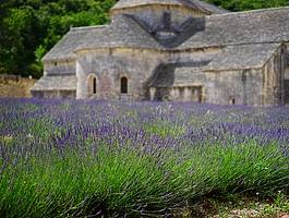 Provansa i najljepša sela Francuske 