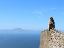 Andaluzija s Gibraltarom i Marokom