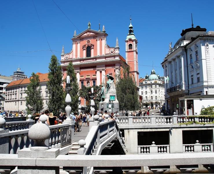 Section Image